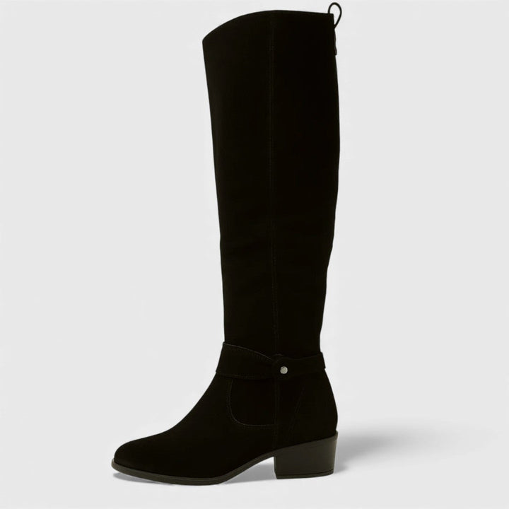 Bottes élégantes en cuir suédé 