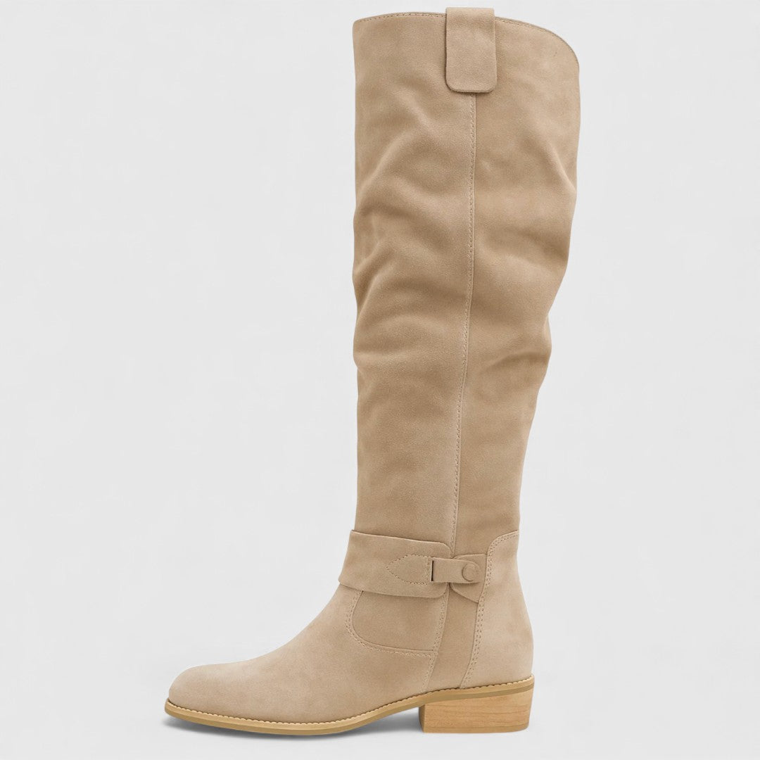 Bottes élégantes en cuir suédé 