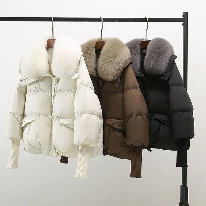 Indi | Veste